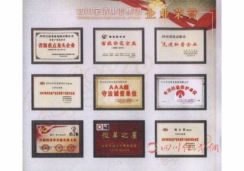 四川宝清果业集团招商引资、融资材料说明