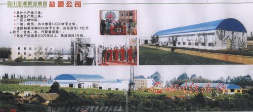 四川宝清果业集团招商引资、融资材料说明