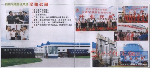 四川宝清果业集团招商引资、融资材料说明