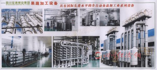 四川宝清果业集团招商引资、融资材料说明