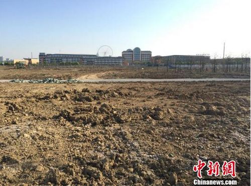 已搬迁的化工厂，与学校一路之隔。目前正进行绿地改造 唐娟 摄