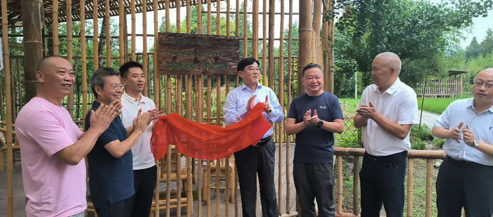  我会发起成立青城马椅子非遗文化传习基地